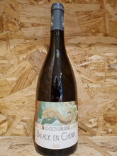 Charger l'image dans la galerie, Balade en Chenin 2022 - 75cl